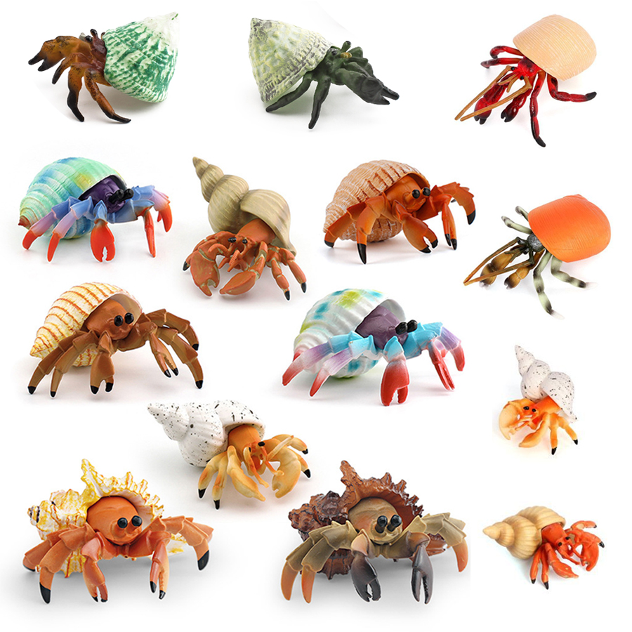 Kids Toys Under 1 Year - Figurinha Realista de Caranguejo Ermitão, Modelo