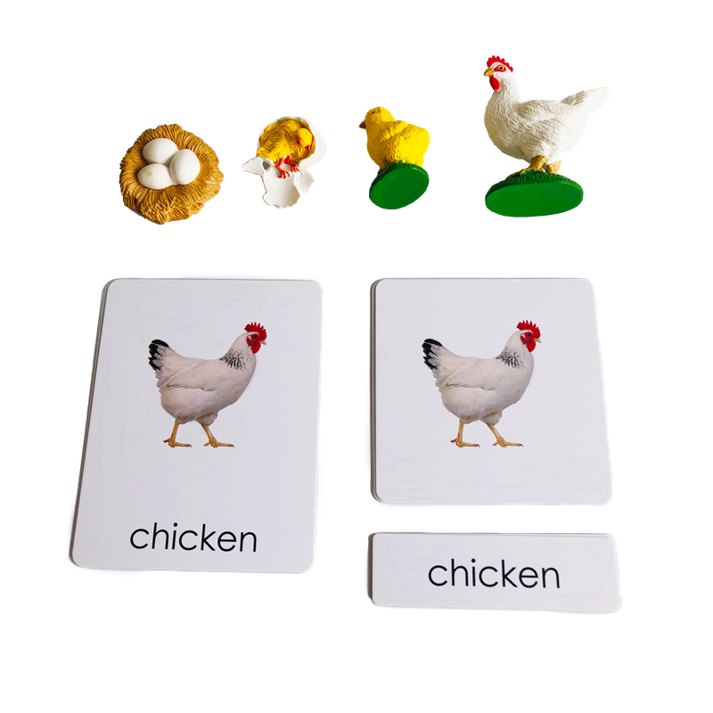 Kids Toys Cycle - Cartões e modelos de animais de