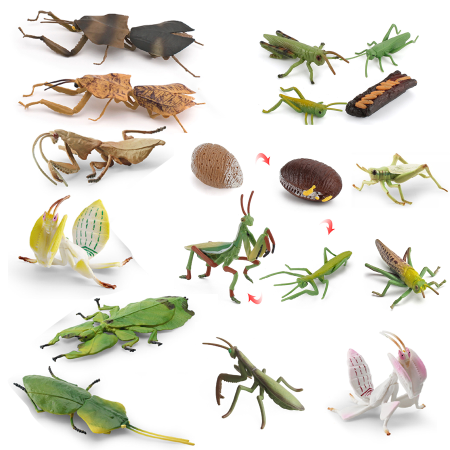 Kids Toys Under 1 Year - Modelo Realista de Mantis Orquídea, Mantis