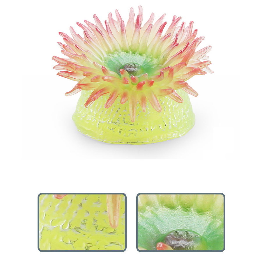 Realista coral anêmonos do mar - Kids Toys Under 1 Year avaliação e preço