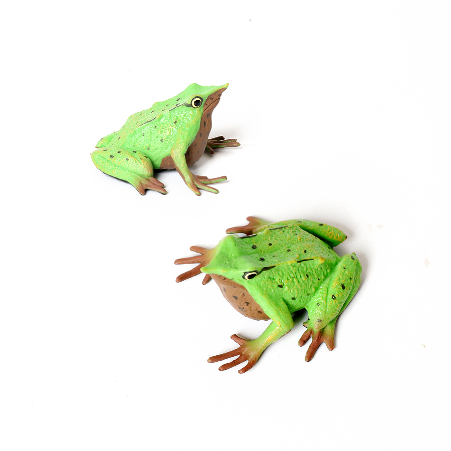 Floresta pluviana animais sapo - Kids Toys Under 1 Year avaliação e preço