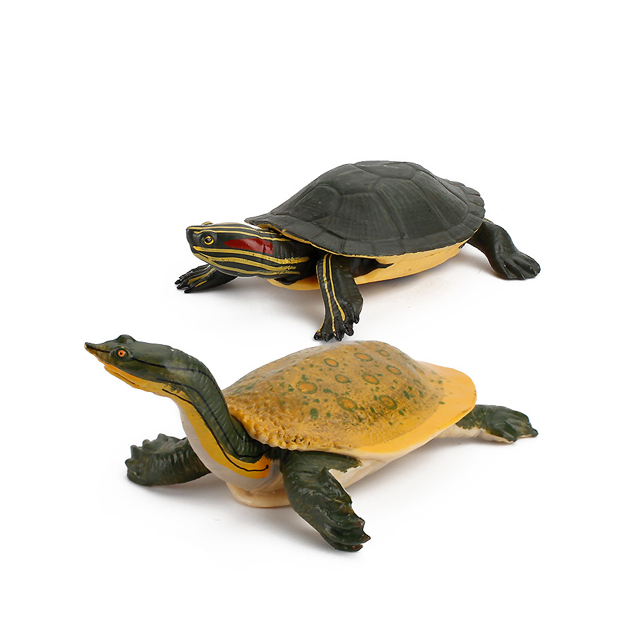 Simulação chinesa softshell le - Kids Toys Under 1 Year avaliação e preço