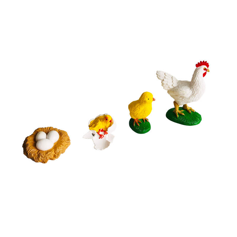 Cartões e modelos de animais d - Kids Toys Cycle avaliação e preço