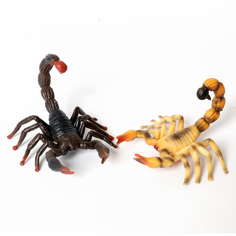 Figuras Realistas de Insetos e - Kids Toys Under 200 avaliação e preço