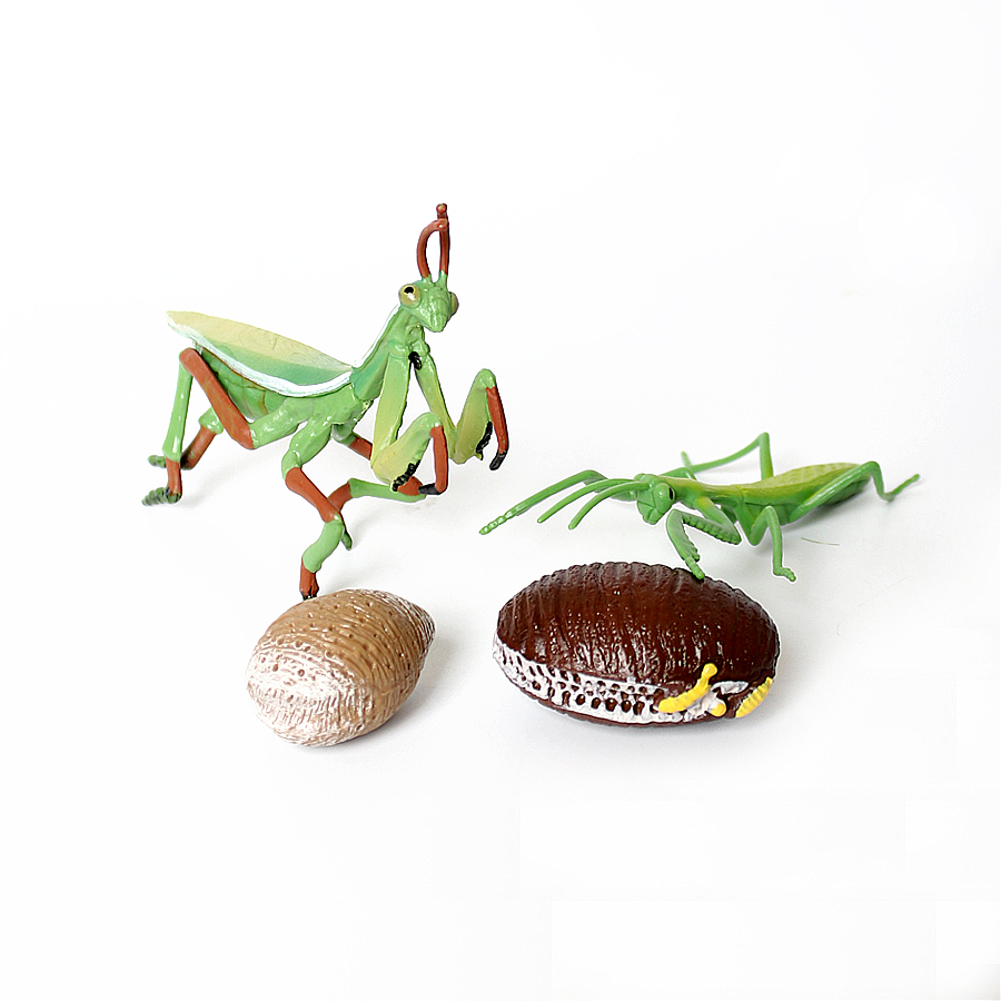 Modelo Realista de Mantis Orqu - Kids Toys Under 1 Year avaliação e preço
